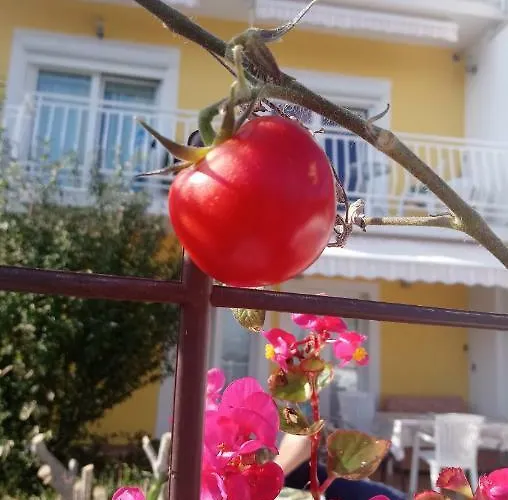 Bonavista Διαμέρισμα Οπατία